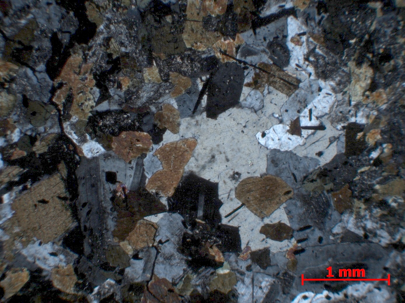 Tonalite Adamellogranite Alpes Massif d’Adamello-Presanella